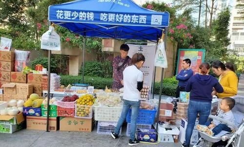 社區(qū)團購轉(zhuǎn)向理性競爭，日用百貨銷售迎高質(zhì)量發(fā)展新機遇